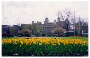 The Tower of London